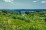 Buje, zemljite sa građevinskom dozvolom i panoramskim pogledom na more!