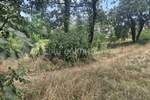 Viškovo - prodaja građevinskog zemljišta od 2913m2!