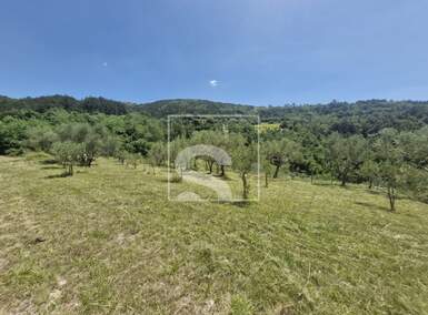 Zemljiste, Cerovlje, Grimalda, prodaja, 25000 €, 2529 m2