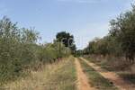 Kuca, Vodnjan, prodaja, 210000 €, 100 m2