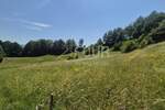 Kuca, Ravna Gora, Stari Laz, prodaja, 145000 €, 166 m2