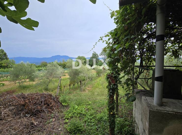 ISTRA, LABIN – Kućica u prirodi, potpuna osama s velikom okućnicom