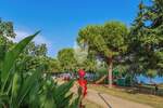 Dvosoban stan, Novigrad, prodaja, 430000 €, 87 m2