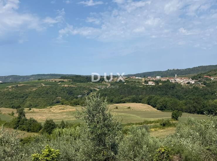 ISTRA, GROŽNJAN - Građevinsko zemljište s predivnim pogledom i maslinama