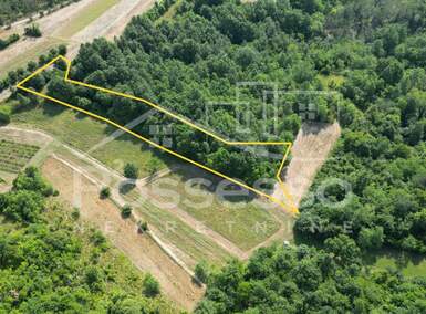 Zemljiste, Buzet, Vrh, prodaja, 6500 €, 2165 m2