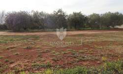 Zemljiste, Tinjan, prodaja, 110000 €, 1492 m2