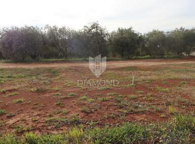 Zemljiste, Tinjan, prodaja, 110000 €, 1492 m2
