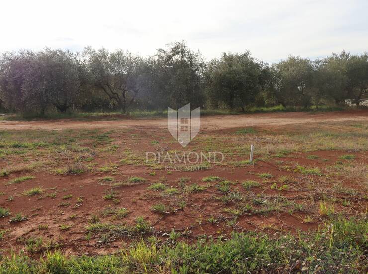 Zemljište 1.492 m² u okolici Tinjana – mir, priroda i potpuna privatnost