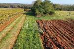 Umag, okolica - atraktivno poljoprivredno zemljište, 2.400 m2 - PRILIKA!