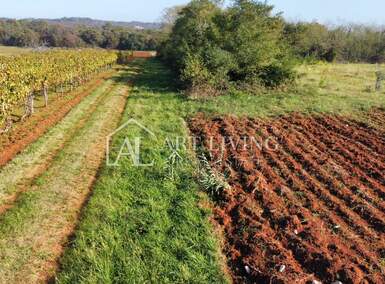 Zemljiste, Umag, prodaja, 40000 €, 2400 m2