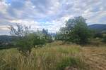     Atraktivno zemljište u Vrbovskom – 6.255 m² 