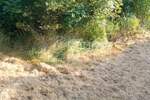 Istra, Buzet, građevinsko zemljište, 1.441m2