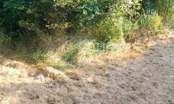 Zemljiste, Buzet, prodaja, 90000 €, 1441 m2