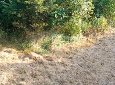 Zemljiste, Buzet, prodaja, 90000 €, 1441 m2