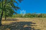 Novigrad okolica, prostrano zemljište 4.900 m2 sa projektom! 