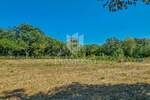 Novigrad okolica, prostrano zemljište 4.900 m2 sa projektom! 
