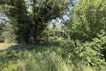 Bribir, zemljište od 1.535m2