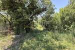 Bribir, zemljište od 1.535m2