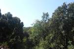 ISTRA, PERUŠKI, GRAĐEVINSKO ZEMLJIŠTE 1069 M2