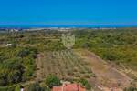 Umag, osunčano zemljište s pogledom na more  nadomak grada!