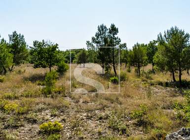 Zemljiste, Marčana, Rakalj, prodaja, 260000 €, 1000 m2