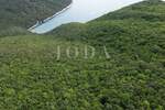 Prekrasno zemljište šuma 65.700m2,Labin okolica