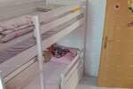 Na prodaju je trosoban stan površine 56 m², smješten na prvom katu stamb...