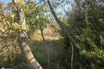 ISTRA, LABIN - KAPELICA, GRAĐEVISNKO ZEMLJIŠTE NA IZVRSNOJ LOKACIJI