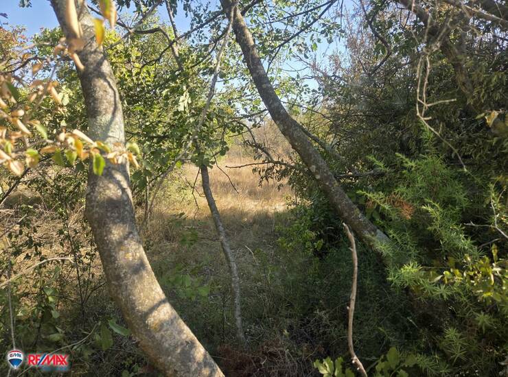 ISTRA, LABIN - KAPELICA, GRAĐEVISNKO ZEMLJIŠTE NA IZVRSNOJ LOKACIJI