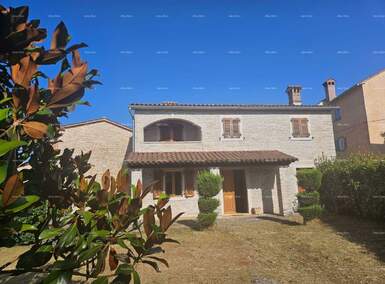 Kuca, Tinjan, prodaja, 940000 €, 405 m2
