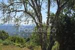 Kuca, Pazin, Kašćerga, prodaja, 89000 €, 80 m2