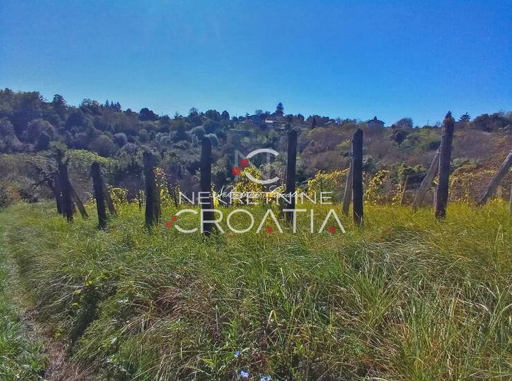 VRTLINOVEC, VINOGRAD I VOĆNJAK