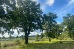 Zemljiste, Barban, prodaja, 65000 €, 0 m2