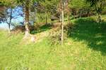 DELNICE, FUŽINE - Građevinsko zemljište 823m2 na parceli 2900m2