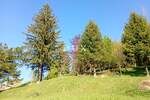 DELNICE, FUŽINE - Građevinsko zemljište 823m2 na parceli 2900m2