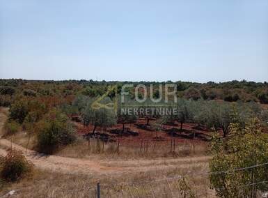 Zemljiste, Svetvinčenat, Juršići, prodaja, 186000 €, 26520 m2