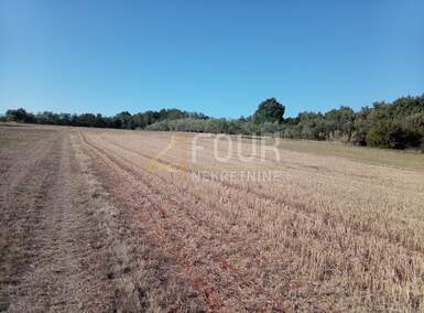 Zemljiste, Umag, Lovrečica, prodaja, 135000 €, 12535 m2