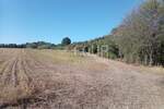 Istra, Umag - okolica, poljoprivredno zemljište, 12.535m2