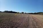 Istra, Umag - okolica, poljoprivredno zemljište, 12.535m2