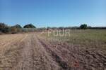 Istra, Umag - okolica, poljoprivredno zemljište, 12.535m2