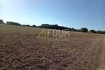Istra, Umag - okolica, poljoprivredno zemljište, 12.535m2