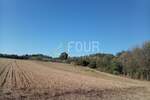 Istra, Umag - okolica, poljoprivredno zemljište, 12.535m2