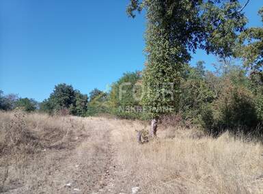 Zemljiste, Brtonigla, prodaja, 135000 €, 5027 m2