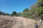 Istra, Brtonigla, zemljište 5.027m2