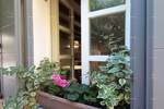 Kuca, Bale, prodaja, 399000 €, 116 m2