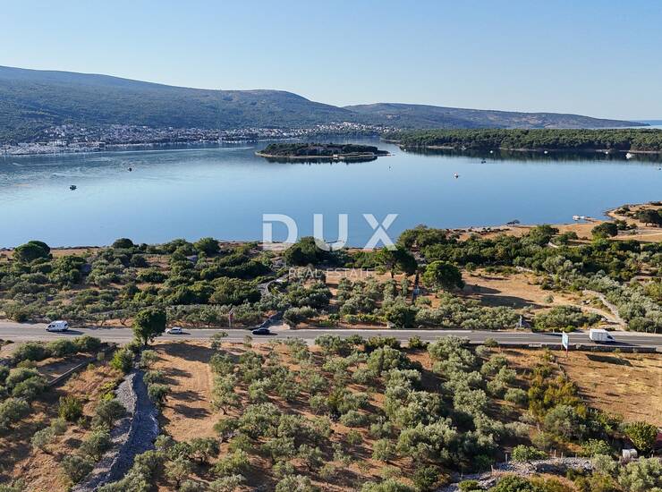Krk, Kornić, maslinik, 1192 m2, pristup s ceste