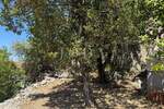 Kuca, Karlobag, Lukovo Šugarje, prodaja, 379000 €, 96 m2