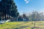 Istra, Loborika: Kuća s velikim vrtom i maslinikom
