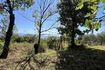 Kuca, Lovran, prodaja, 330000 €, 570 m2