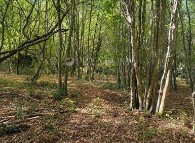 Zemljiste, Vrbnik, prodaja, 115000 €, 1349 m2